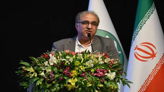 با گسترش هوش مصنوعی و دوزبانهسازی آثار علمی، ارزیابی و ارتقای اساتید ضروری است