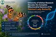 University of Isfahan Research Decodes the Complete Mitochondrial Genome of the Painted Lady Butterfly
